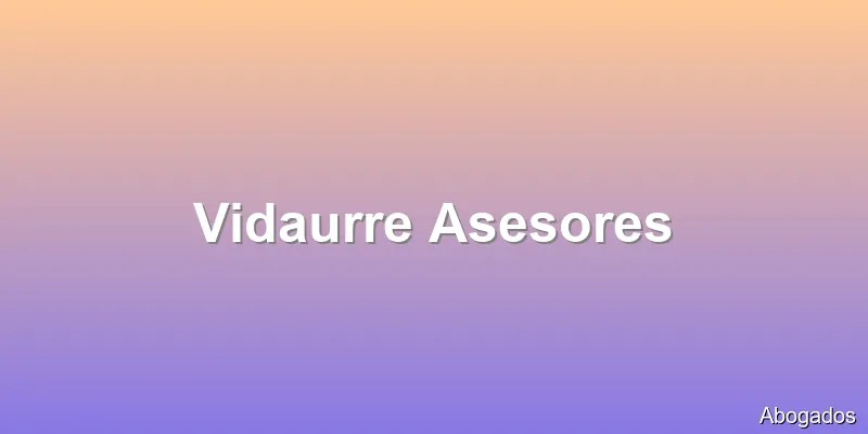 Vidaurre Asesores