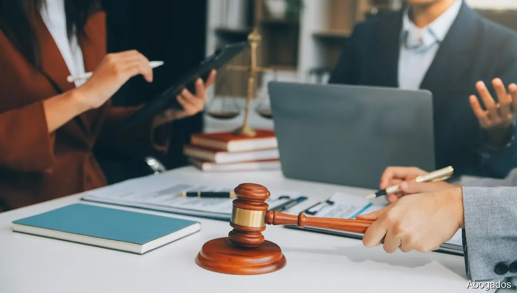 Ruiz Vivancos Abogados