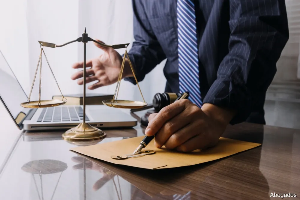 PALOMA RODRIGO VILA ABOGADA