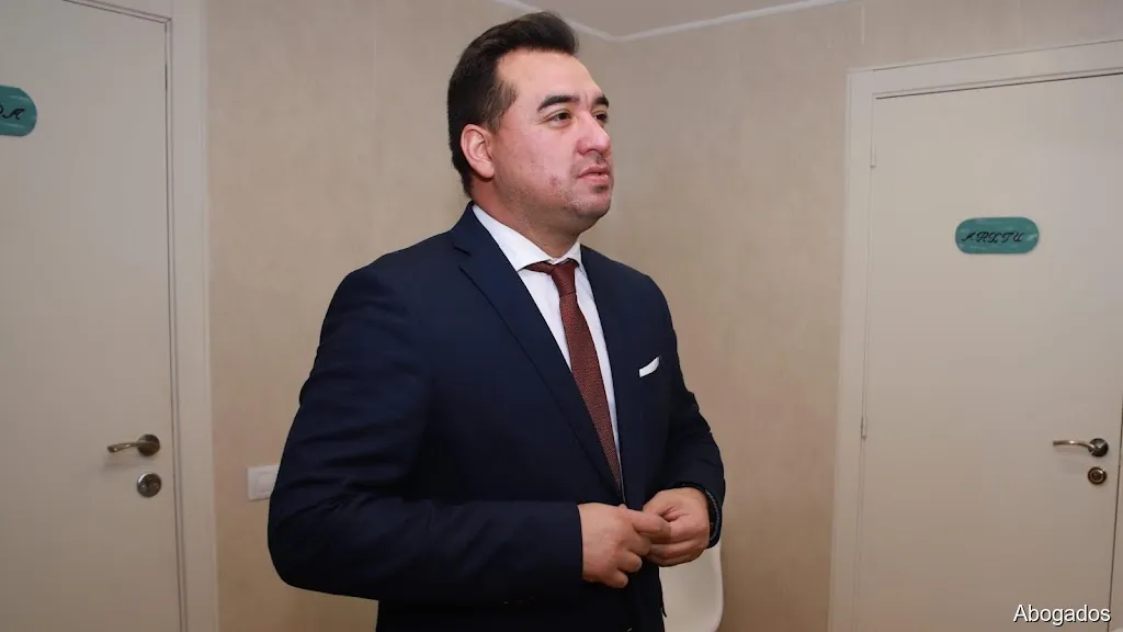 Abogado Andrés Ibañez Camposano