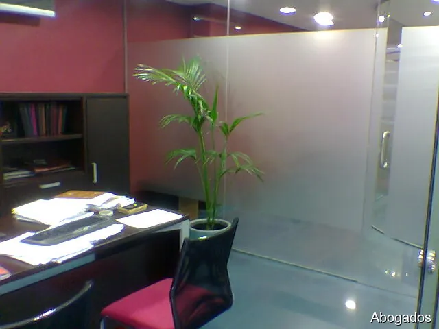 GUILLERMO MIEDES "Fernández & Miedes Abogados"