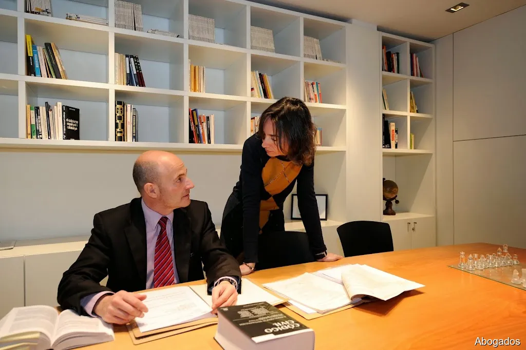 Bufet Ferrer-Flores Advocats