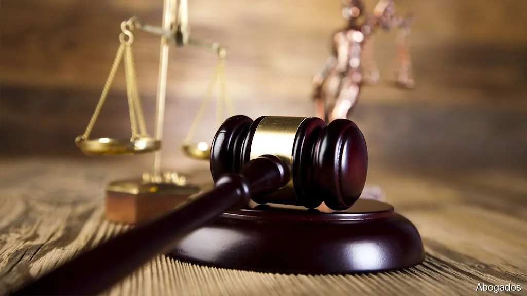 Procuradora de Ponteareas - Teresa Carrera Fernández - Actuamos en Ponteareas, Porriño, Tui, Redondela, Pontevedra y Vigo