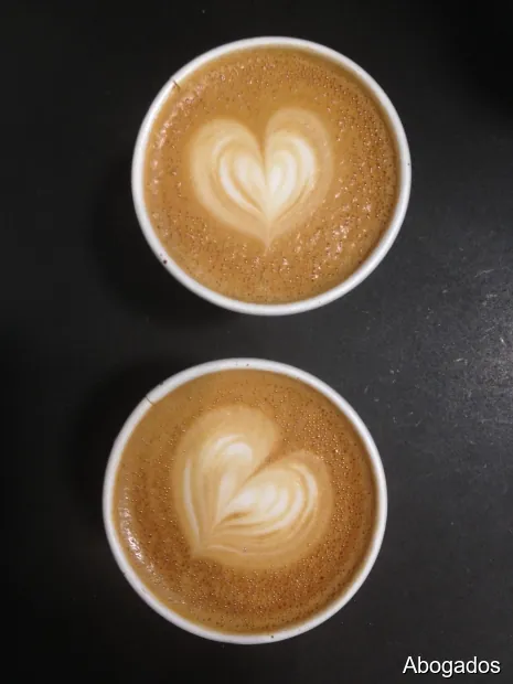 Abogados Valentin y Pizarro