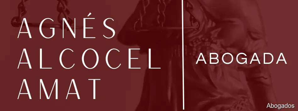 Agnés Alcocel Amat Abogada