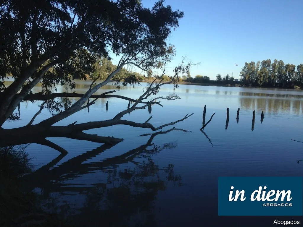 Abogados Coria del Río | IN DIEM