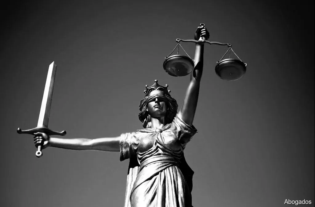 Abogada María Alderete Vincent