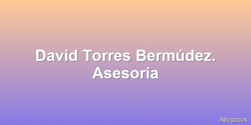 David Torres Bermúdez. Asesoría