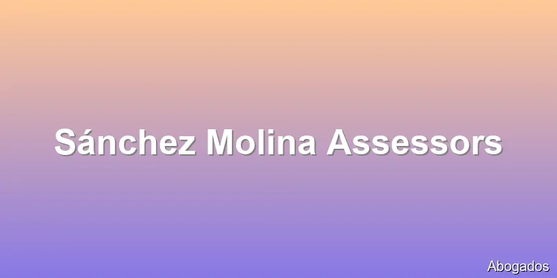 Sánchez Molina Assessors