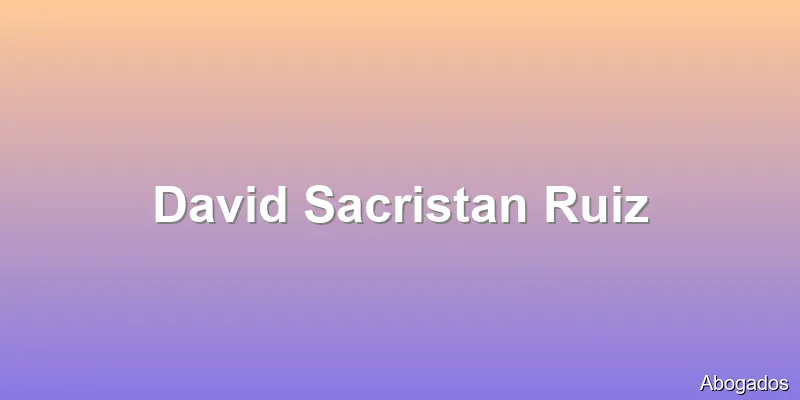David Sacristan Ruiz