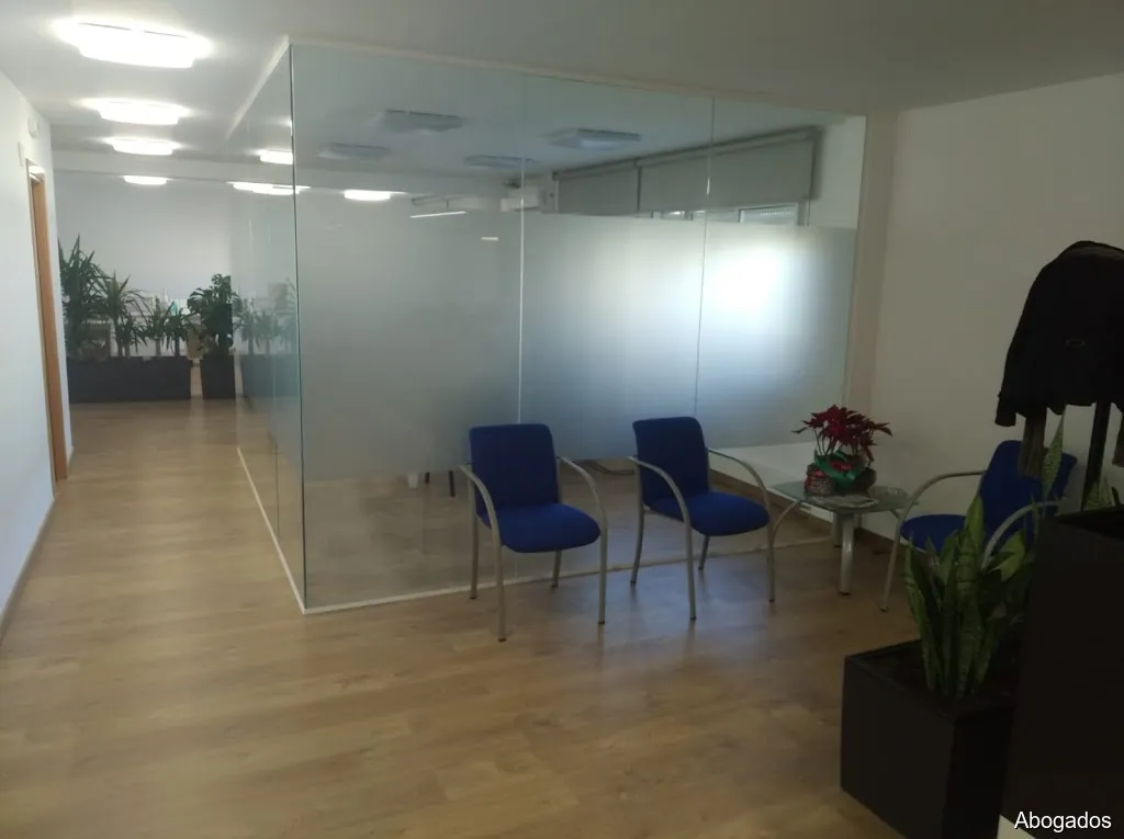 VIDIELLA Consultoria Empresarial SLP