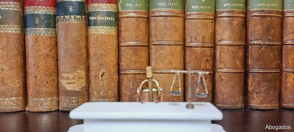 PLASENCIA SANCHEZ-CARO. ABOGADOS