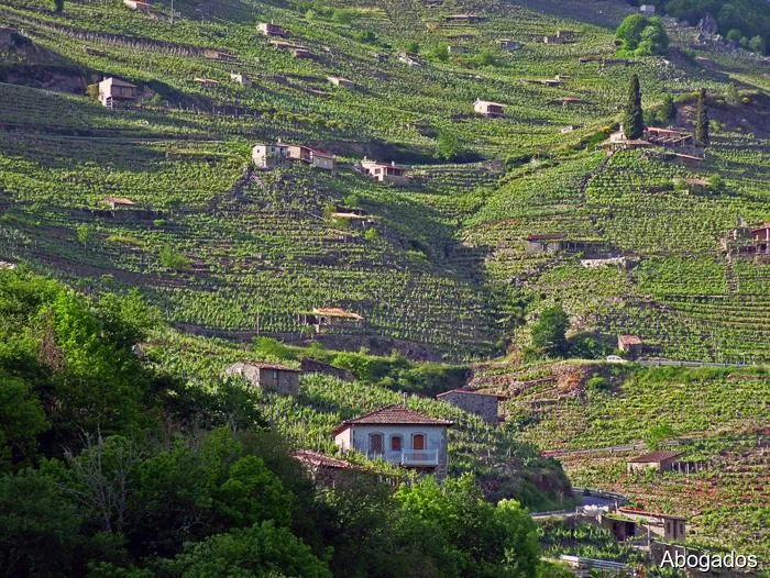 Procurador Eugenio Gómez Couceiro