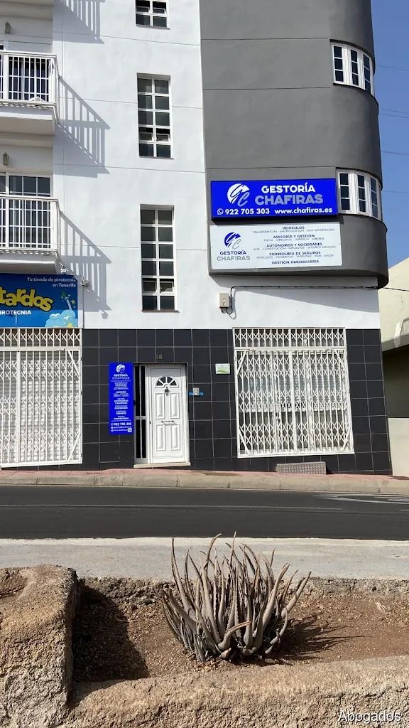 Imagen 2