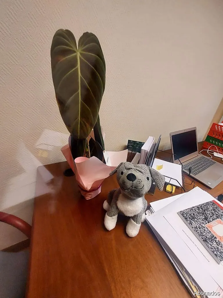 Abogados de Extranjería en Logroño Extranjerialegal.info