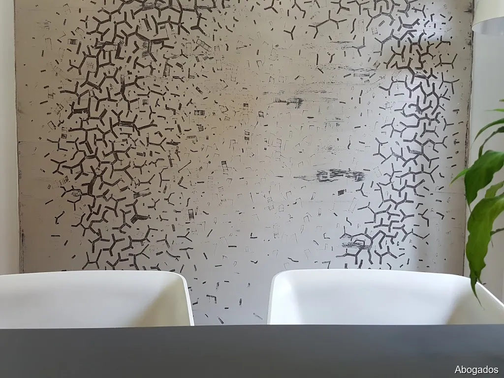 Nidia CAMACHO & Manuel VIVO Abogados