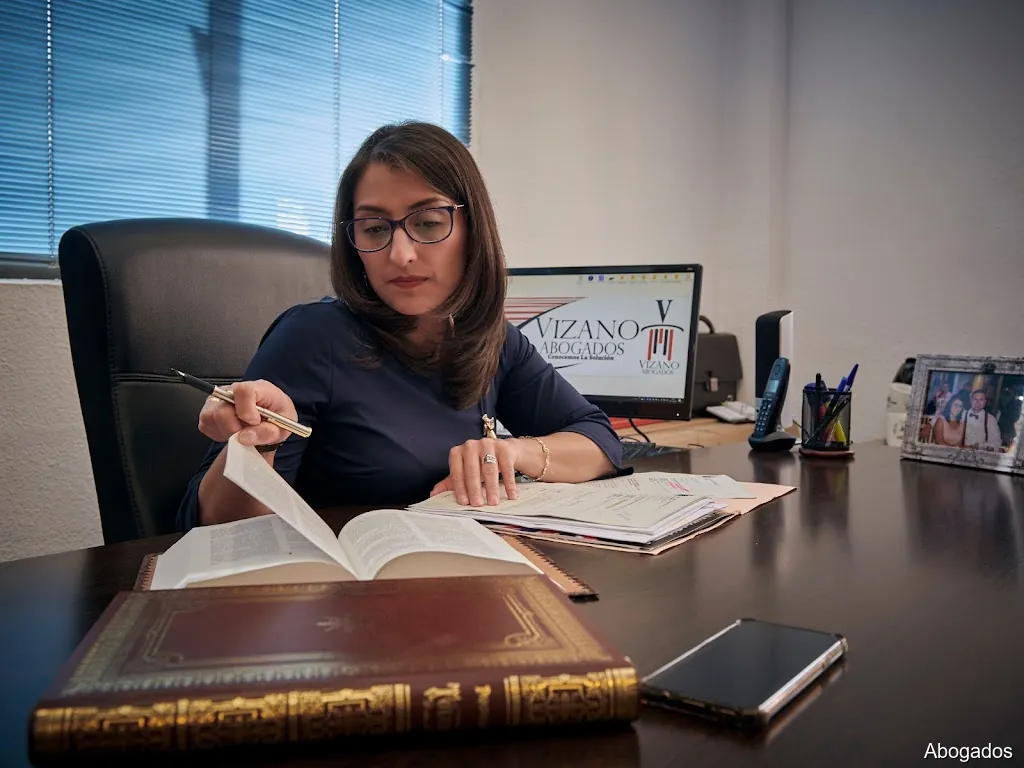 Vizano Abogados -Viviana Lozano B.