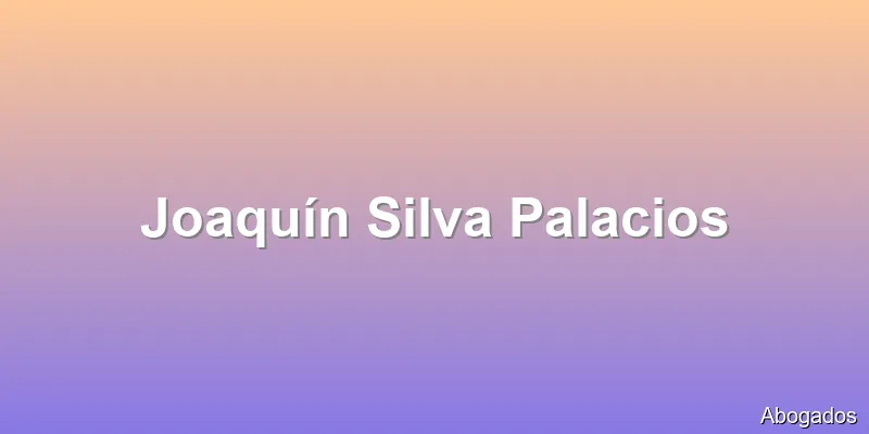 Joaquín Silva Palacios