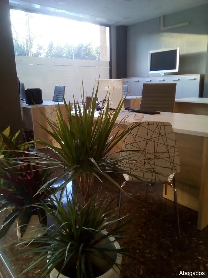 Imagen 2