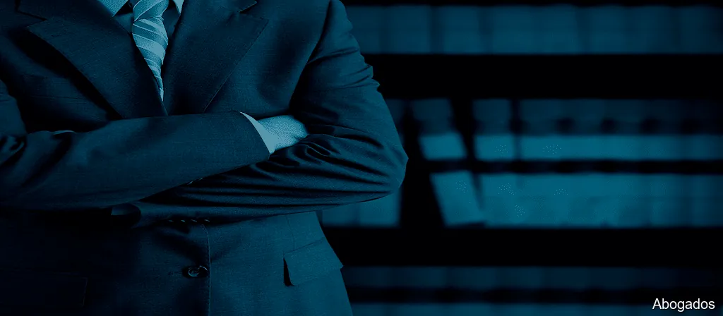 Servicios Legales Express