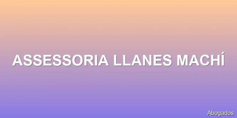 ASSESSORIA LLANES MACHÍ