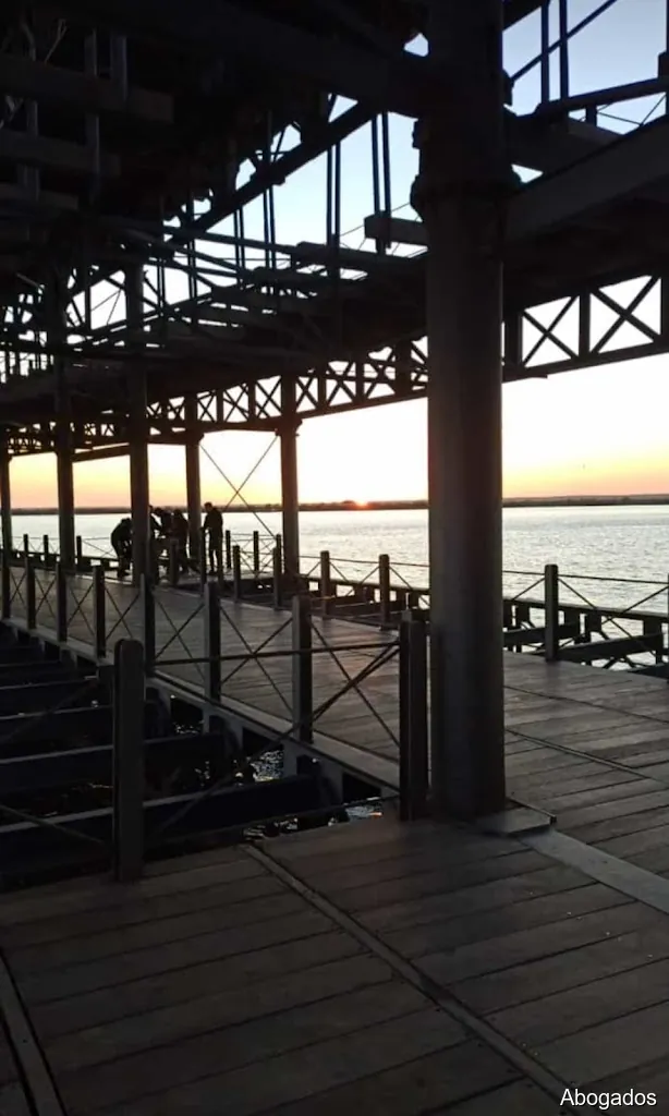 Mercedes Martín Carrasco