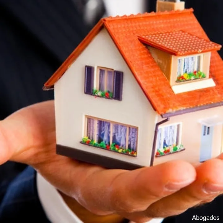 SÁNCHEZ BUSNADIEGO ABOGADOS Y ASESORES