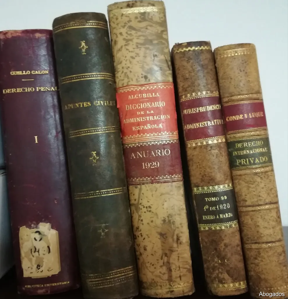 María del Rosario Dominguez Moreno