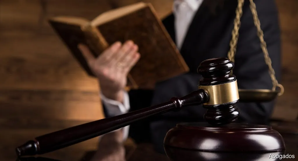 Abogada María José Pons Fernández