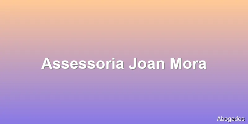 Assessoria Joan Mora
