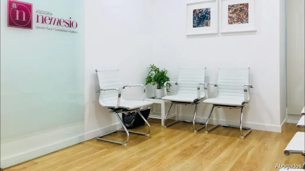Nemesio Abogados y Asesores