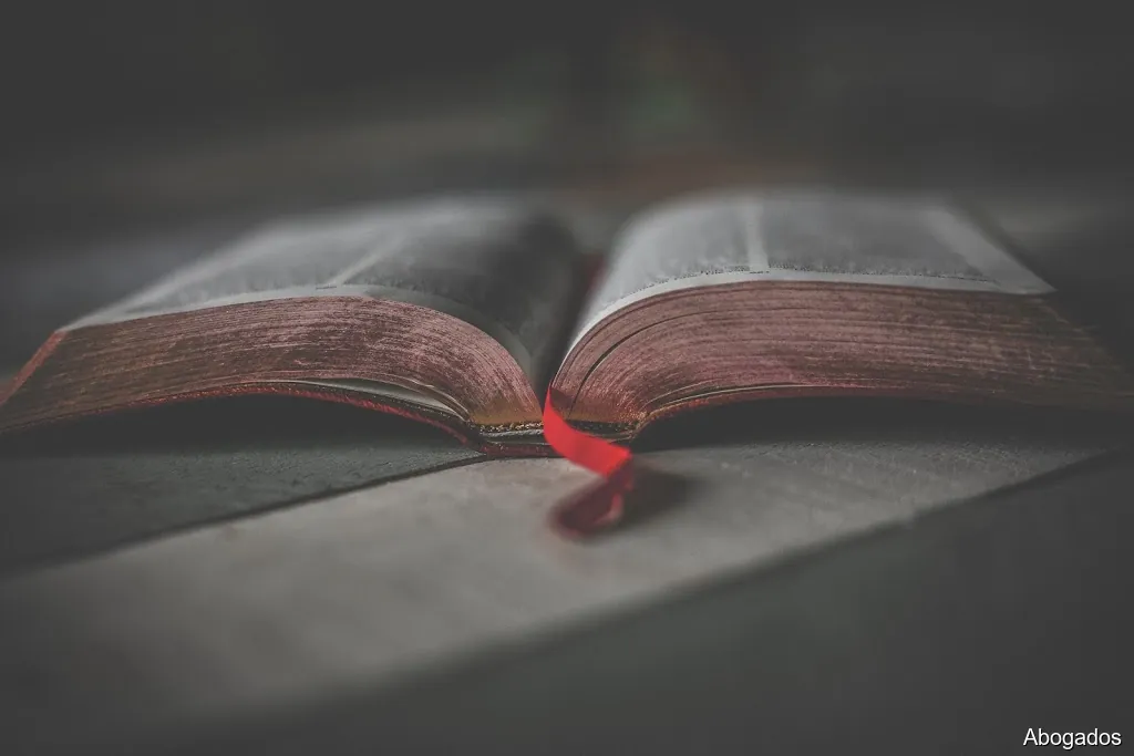 Adriana Saborido (Saborido Abogados)