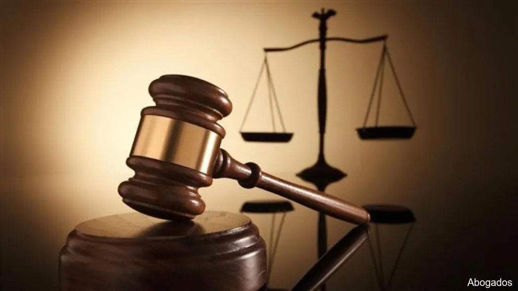 Viviana Ferreiro - ABOGADA