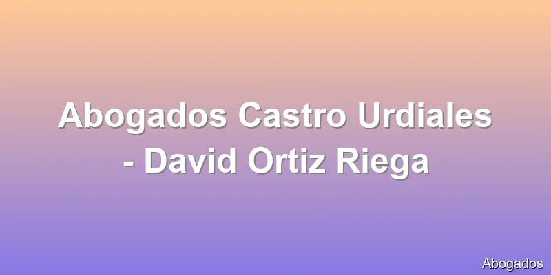 Abogados Castro Urdiales - David Ortiz Riega