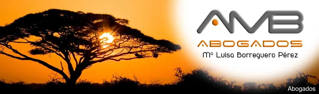 AMB Abogados Navalcarnero M Luisa Borreguero