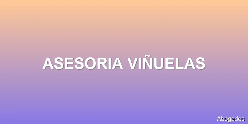 ASESORIA VIÑUELAS