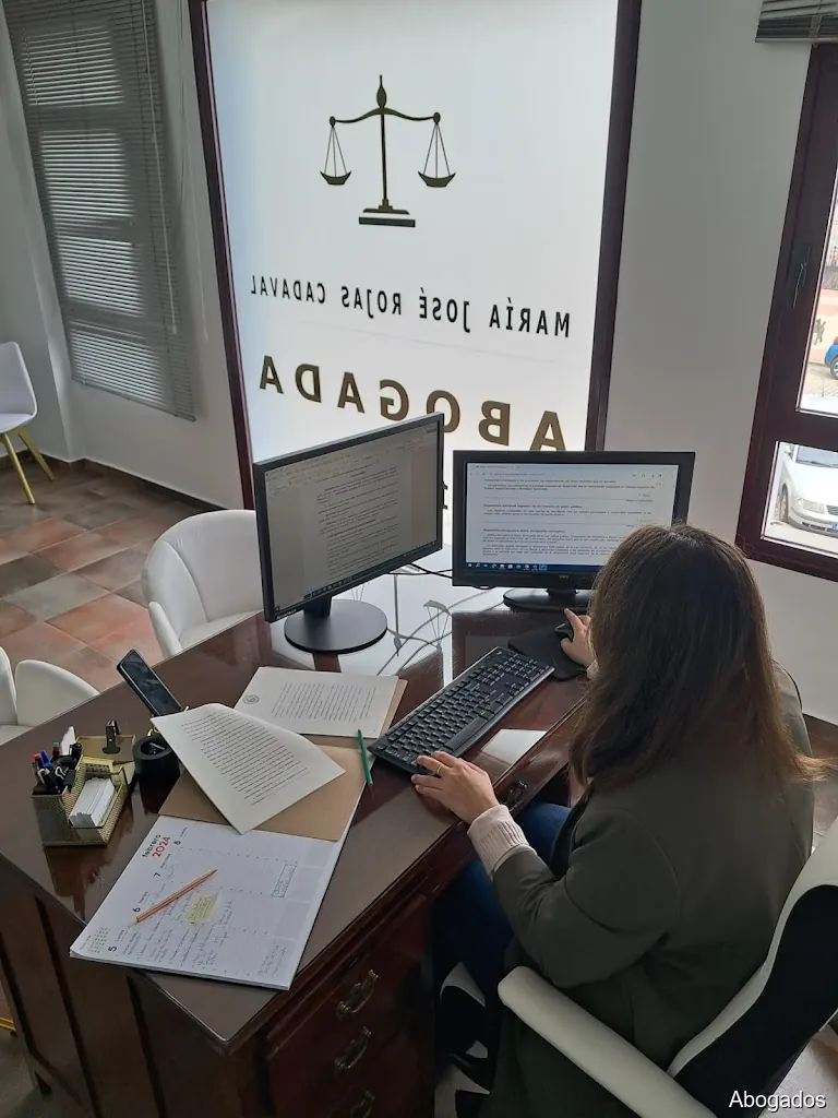 María José Rojas Cadaval Abogada