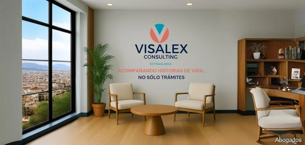 Visalex Consulting