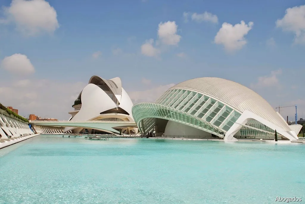 Carlos Braquehais Procurador de los tribunales