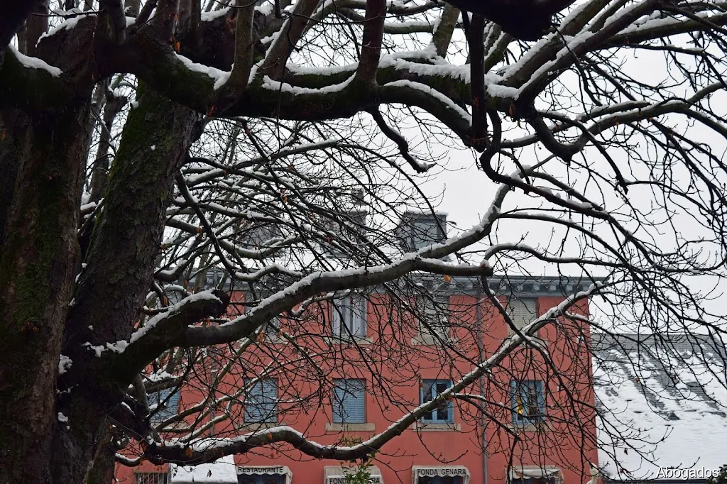 De Santos y De León Abogados SLP