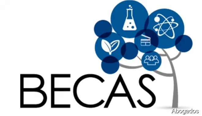 Asesoría Sánchez & Moya