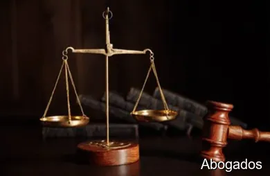 Carmen Leyva Ruiz Abogada