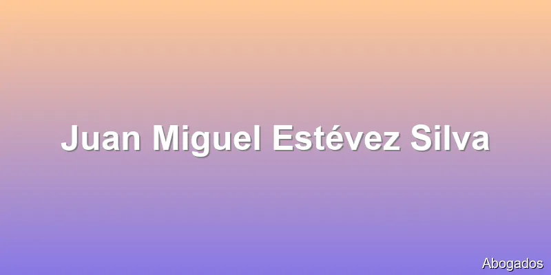 Juan Miguel Estévez Silva