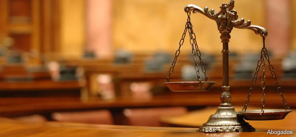 Martin Palomino Abogados