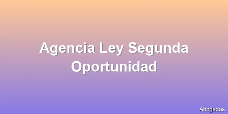 Agencia Ley Segunda Oportunidad