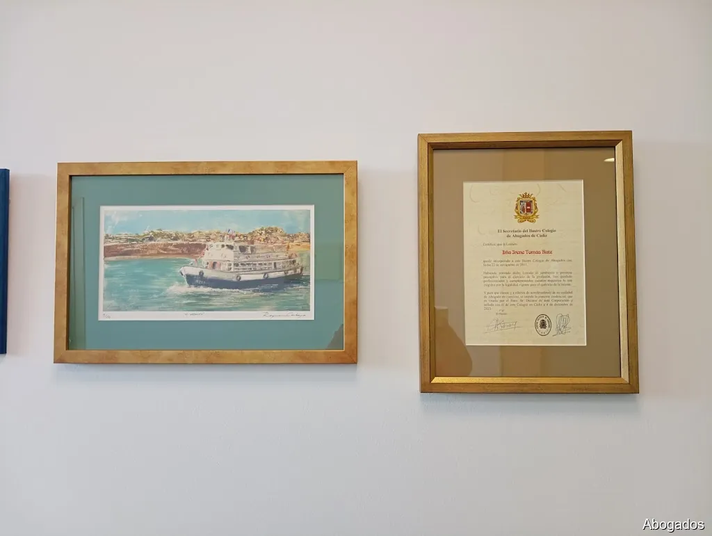 Irene Tomás Abogada