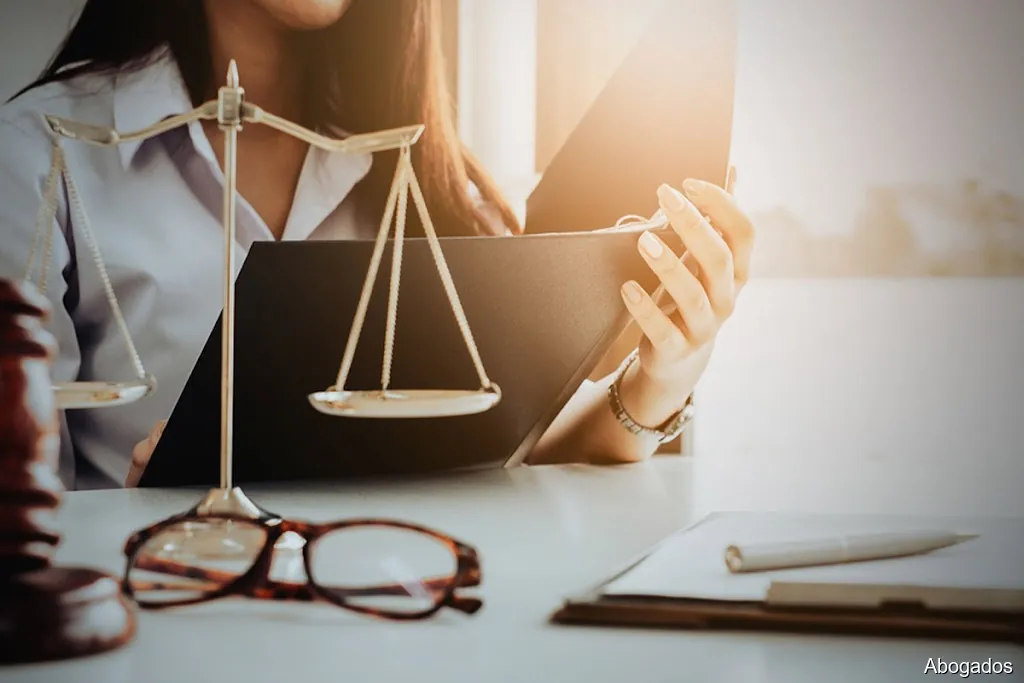 Procurador - María del Pilar Torres Muñoz