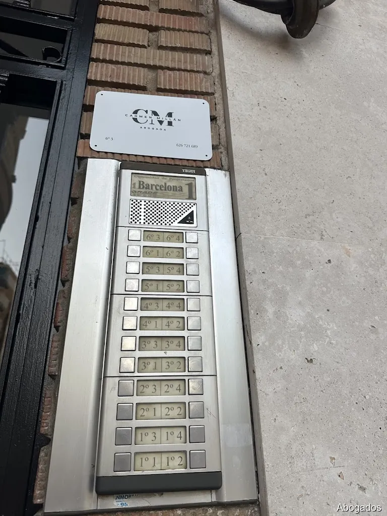 Carmen Millán Abogada