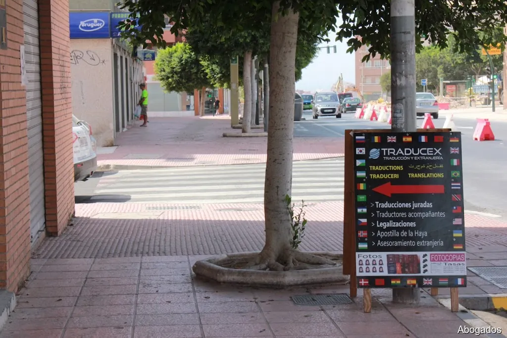 Imagen 2