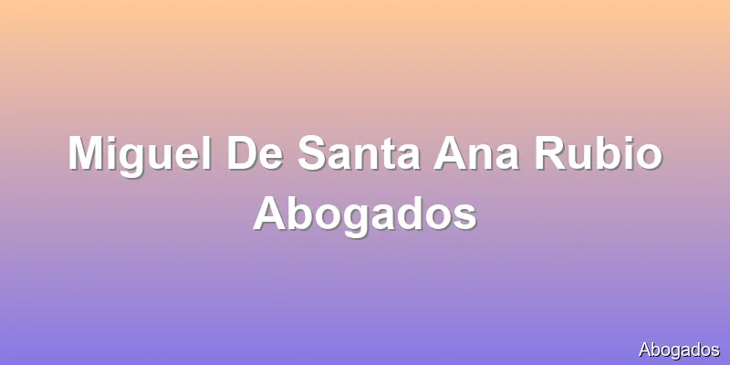 Miguel De Santa Ana Rubio Abogados